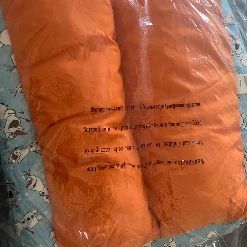 Disney Vibrant Orange and Blue Dog Blanket and guess purse & Kate spade purse